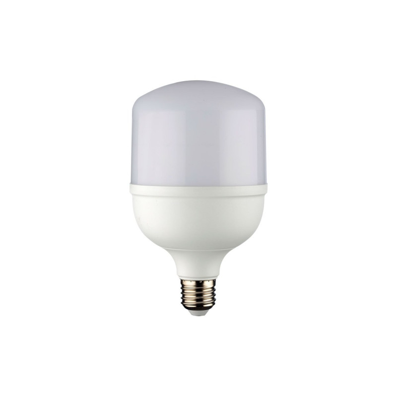 NOAS YL95-3021 30W E27 Torch LED Ampul